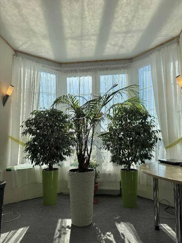 3-к квартира Броварський, Зазим`я, Придорожня 3 5