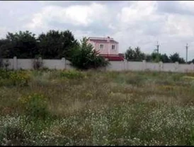 ділянка під житлову забудову Фастівський, Кожухівка, Лісова