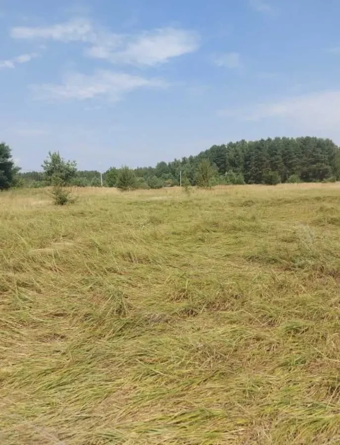 ділянка під житлову забудову Вишгородський, Ясногородка, Польова