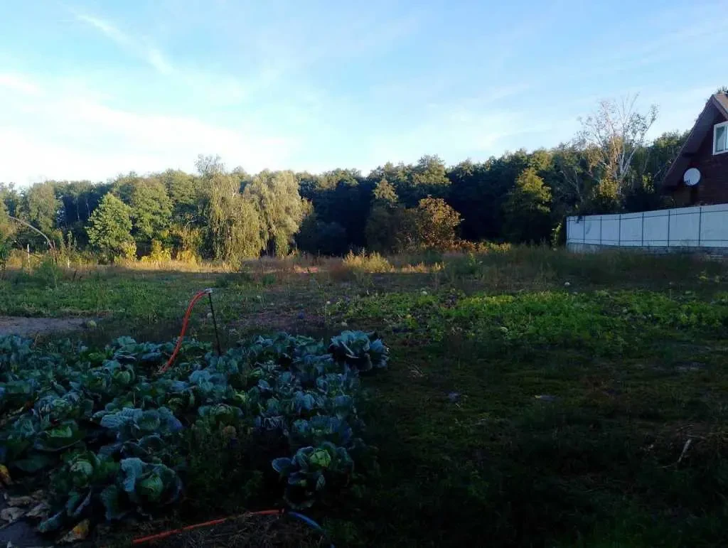 3-к будинок Броварський, Зазим`я, Лісна 21