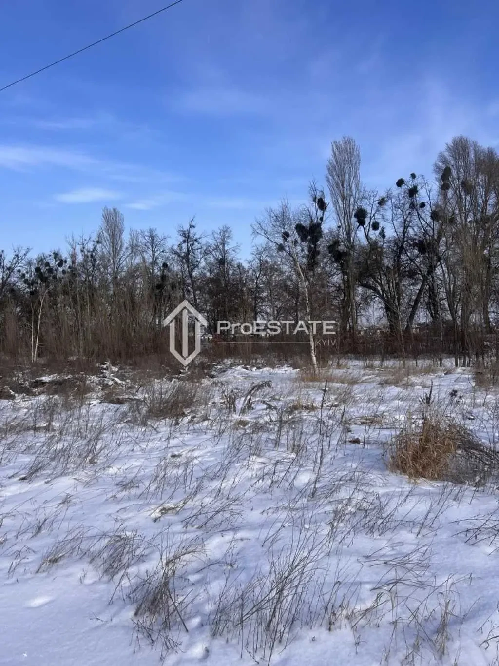 ділянка сільськогосподарського призначення Бориспільський, Гнідин, П.. 4