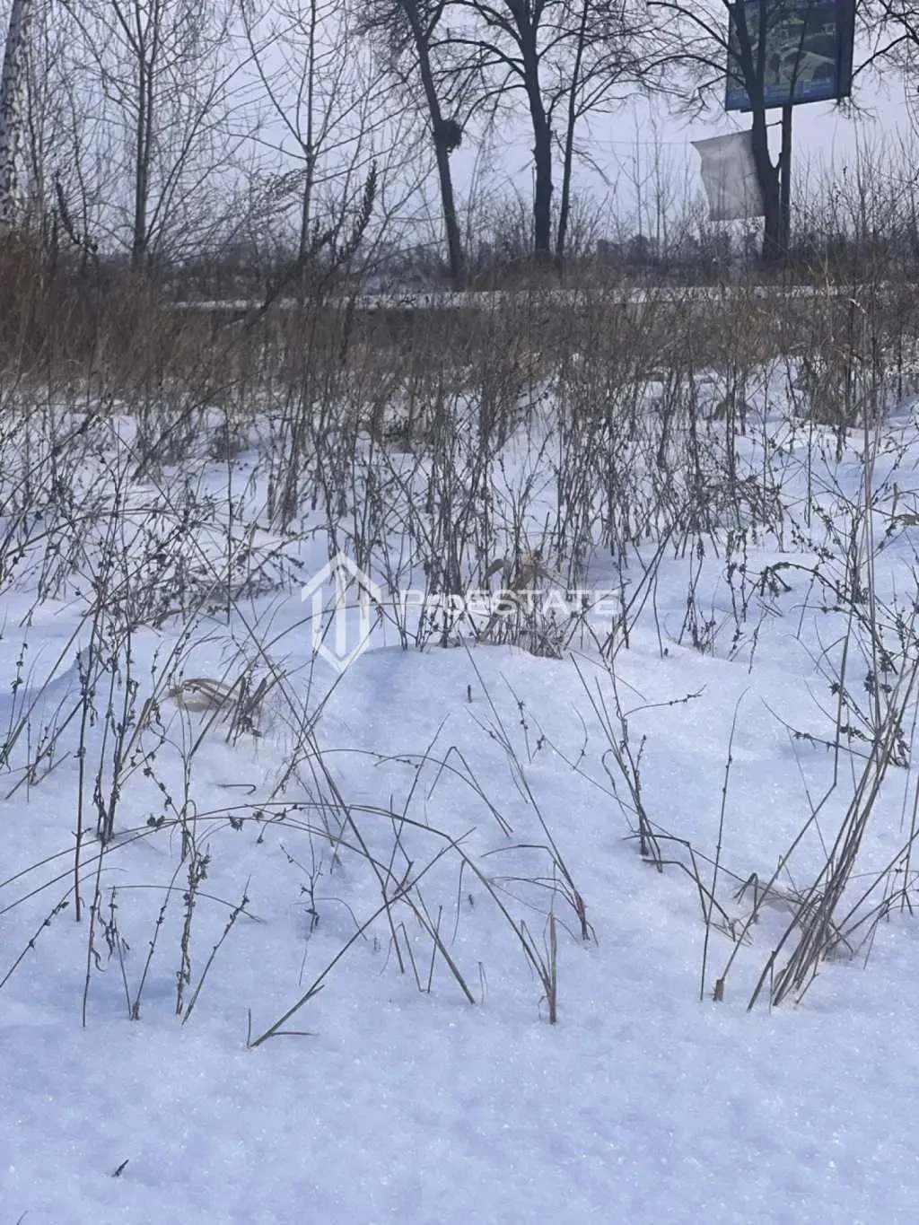 ділянка сільськогосподарського призначення Бориспільський, Гнідин, П.. 5