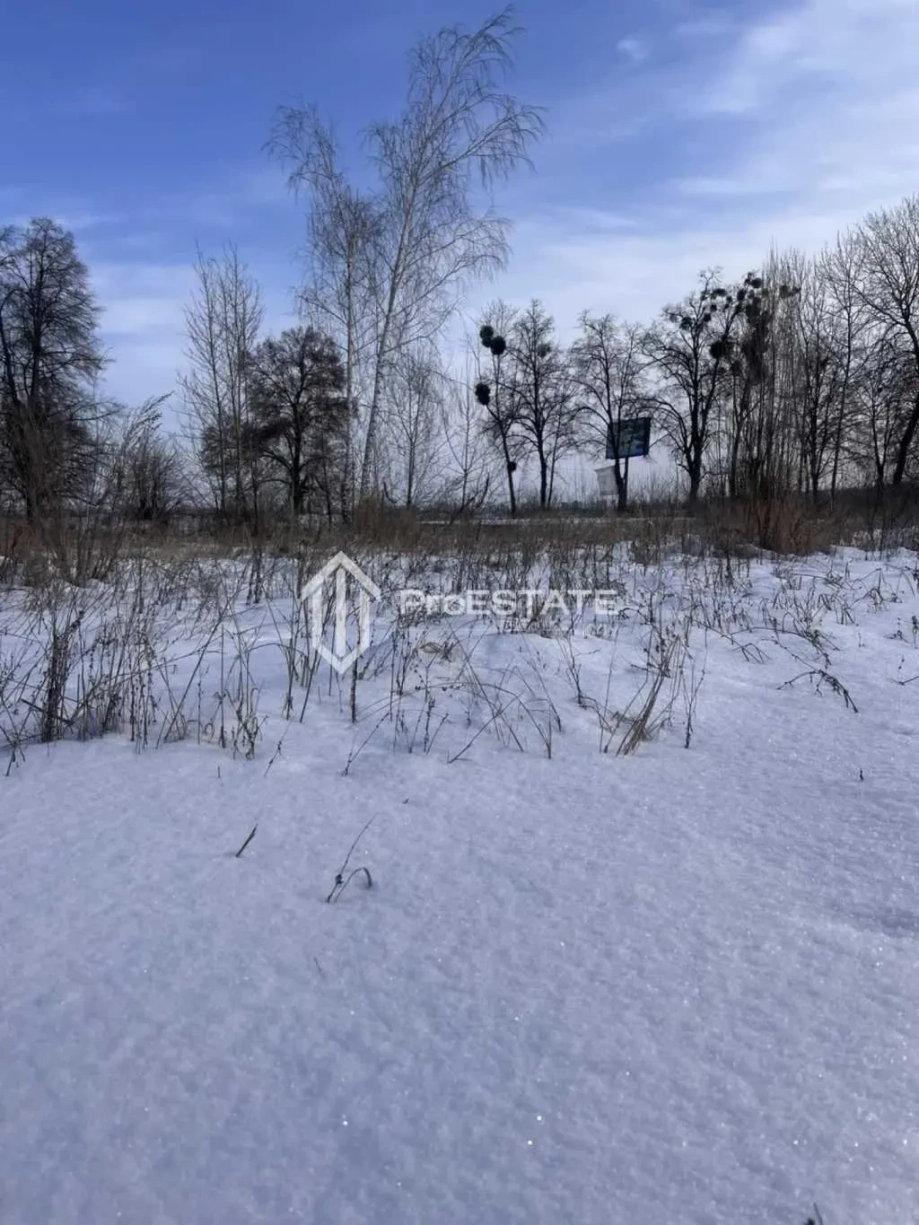 ділянка сільськогосподарського призначення Бориспільський, Гнідин, П.. 8