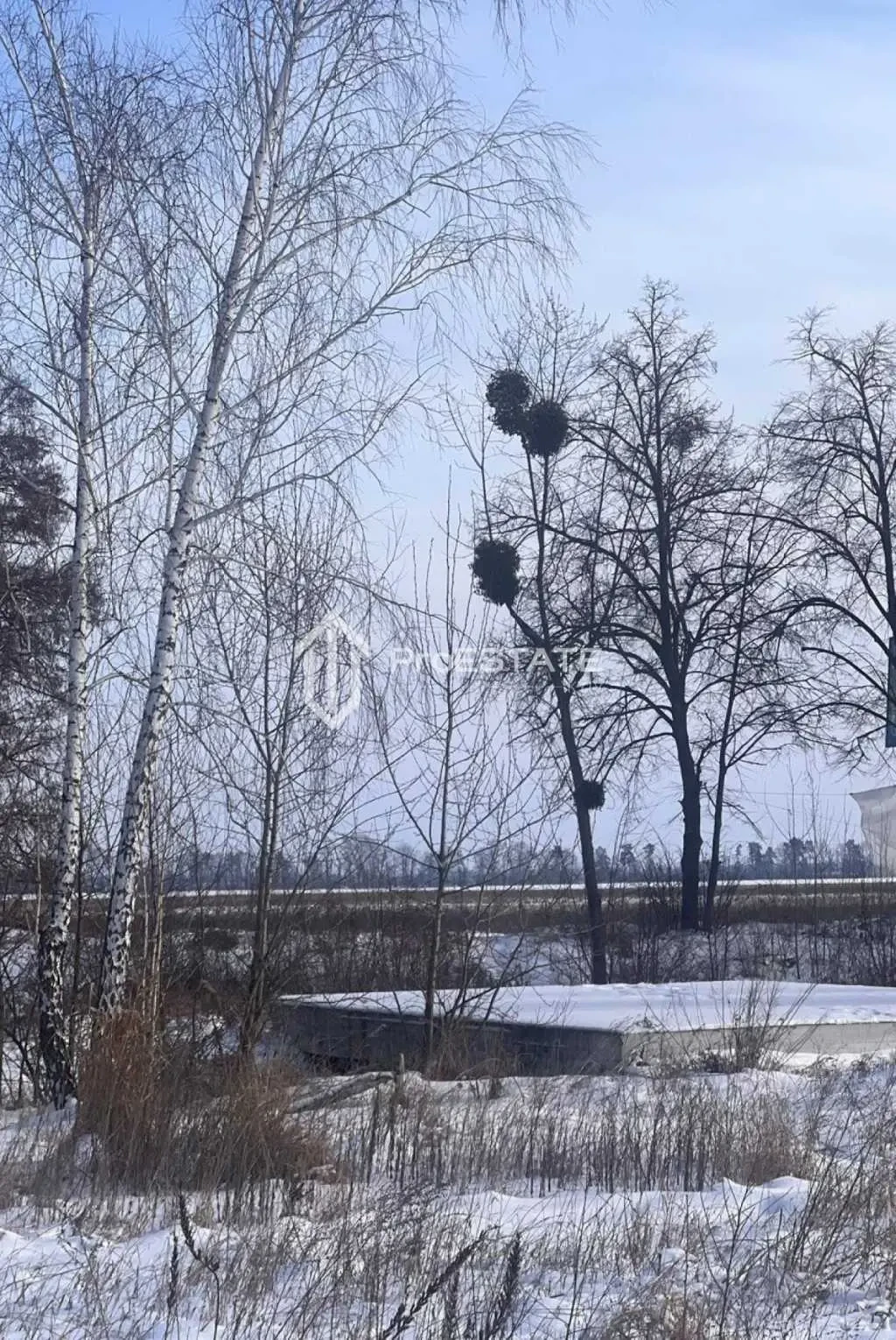 ділянка сільськогосподарського призначення Бориспільський, Гнідин, П.. 10