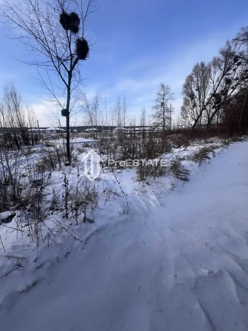 ділянка сільськогосподарського призначення Бориспільський, Гнідин, П.. 12