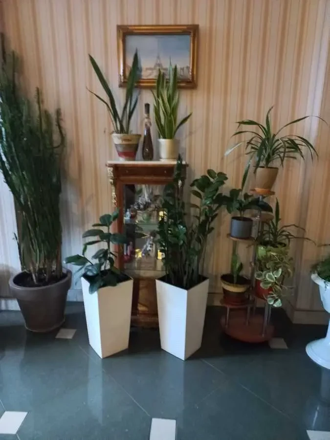 1-к квартира Київ, Солом`янський, Валерія Лобановського 4Г 25