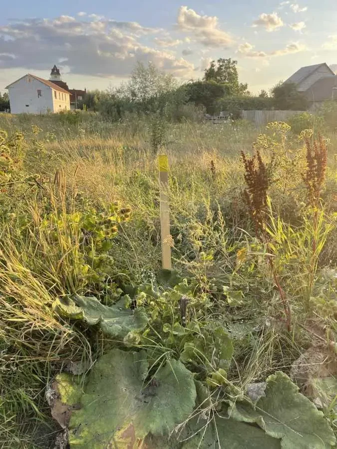 ділянка під житлову забудову Броварський, Зазим`я, Липнева 14