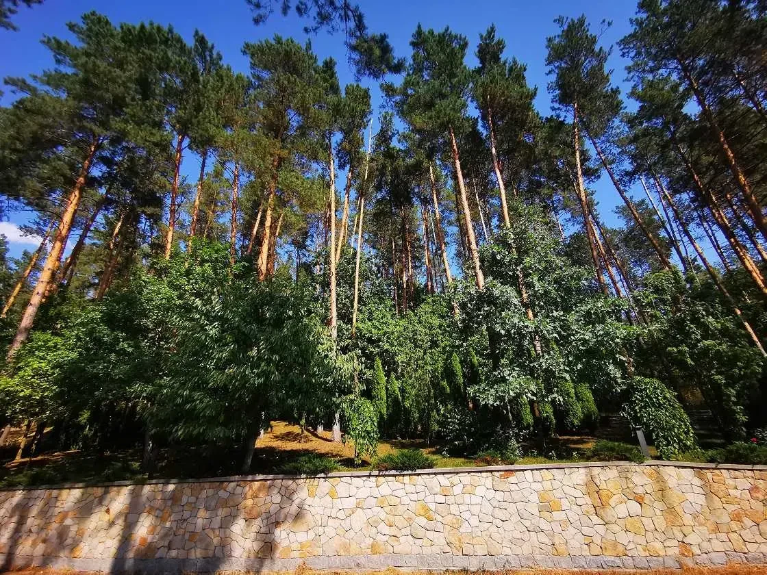 12-к котедж Фастівський, Мархалівка, Сосновая 20