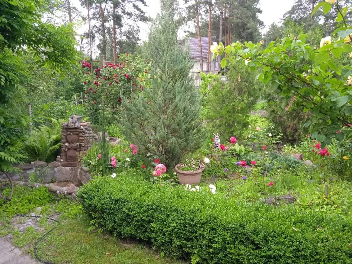 5-к будинок Фастівський, Глеваха, Нова Глеваха 7