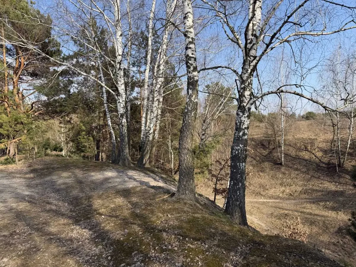 ділянка під житлову забудову Фастівський, Малютянка, Гоголя 2