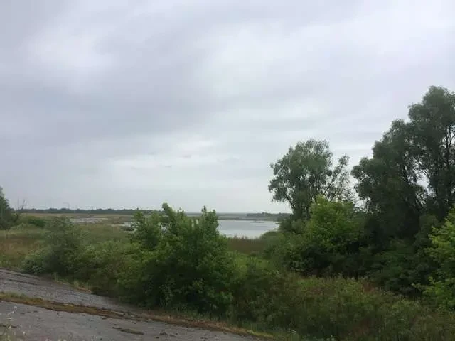 ділянка під житлову забудову Бориспільський, Проців, Центральная 3