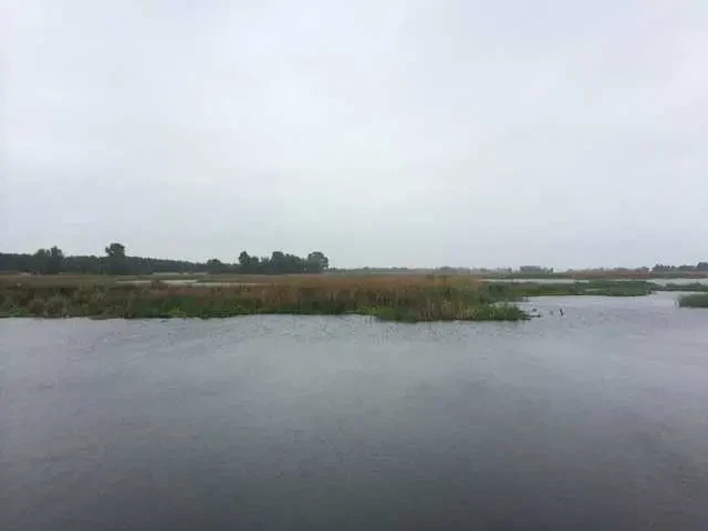 ділянка під житлову забудову Бориспільський, Проців, Центральна
