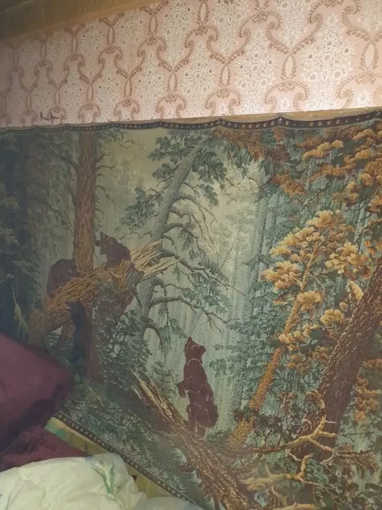 2-к квартира Дніпро, Центральний, Сичеславская Набережная 12 4