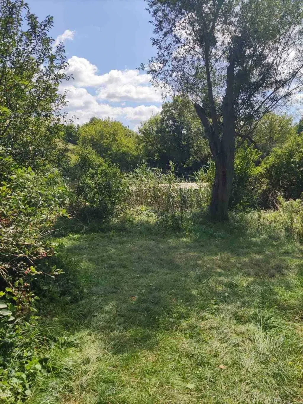 ділянка під житлову забудову Обухівський, Богуслав, Набережна 5