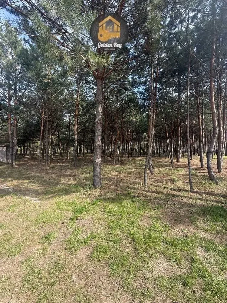 1-к квартира Фастівський, Ясногородка, Західна 6 16