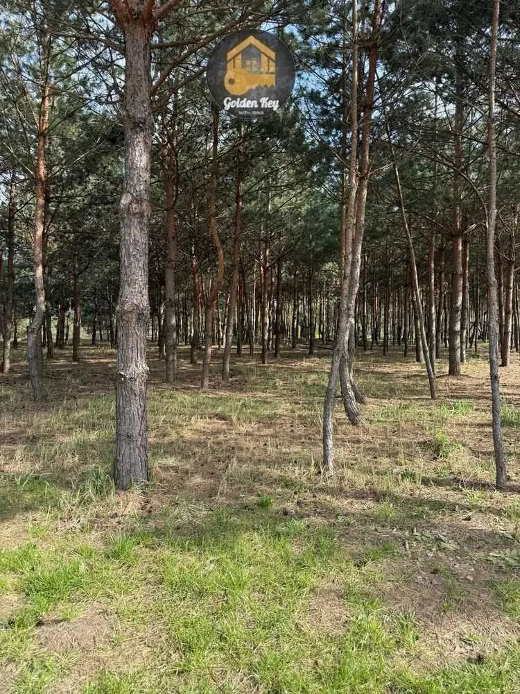 1-к квартира Фастівський, Ясногородка, Західна 6 23