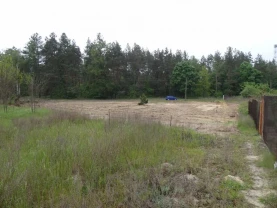 ділянка під житлову забудову Бучанський, Торф`яне, Лісова