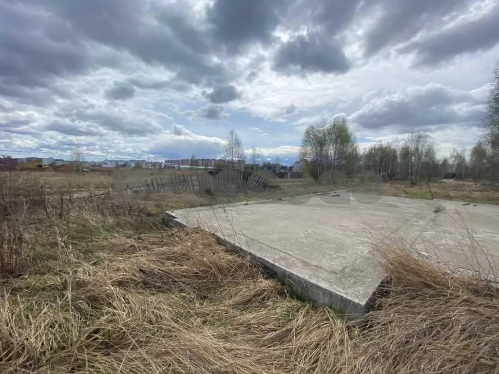ділянка під житлову забудову Бучанський, Софіївська Борщагівка, Шовк.. 6