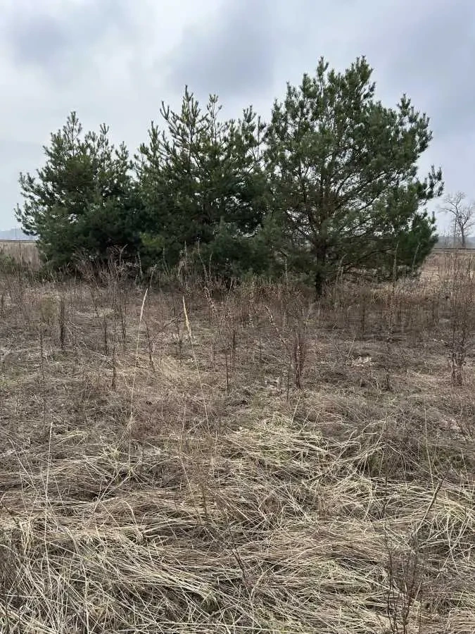 ділянка під житлову забудову Броварський, Рожівка, Залізнична 11 2