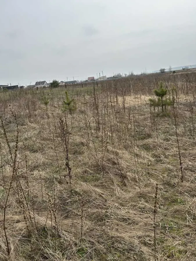 ділянка під житлову забудову Броварський, Рожівка, Залізнична 11 9