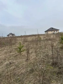 ділянка під житлову забудову Броварський, Рожівка, Залізнична 11