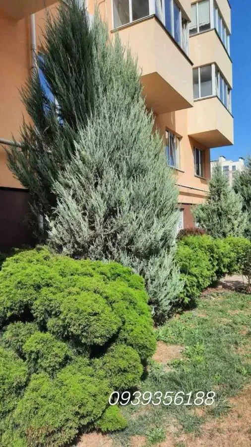 1-к квартира Бучанський, Софіївська Борщагівка, Бишевська 13 16