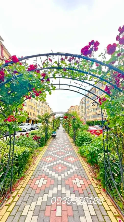 1-к квартира Бучанський, Софіївська Борщагівка, Бишевська 13 17