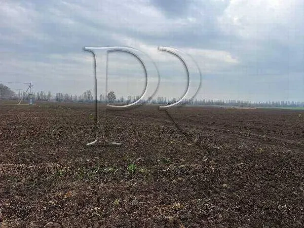 ділянка під житлову забудову Бориспільський, Бориспіль, Киевская обл.. 3