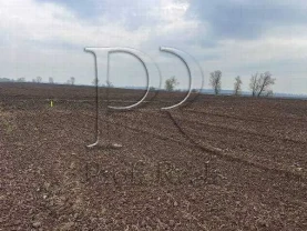 ділянка під житлову забудову Бориспільський, Бориспіль, Киевская обл..