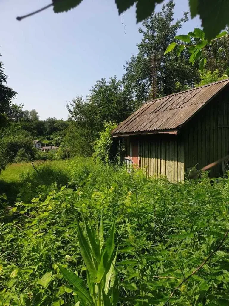 ділянка сільськогосподарського призначення Білоцерківський, Біла Цер.. 2