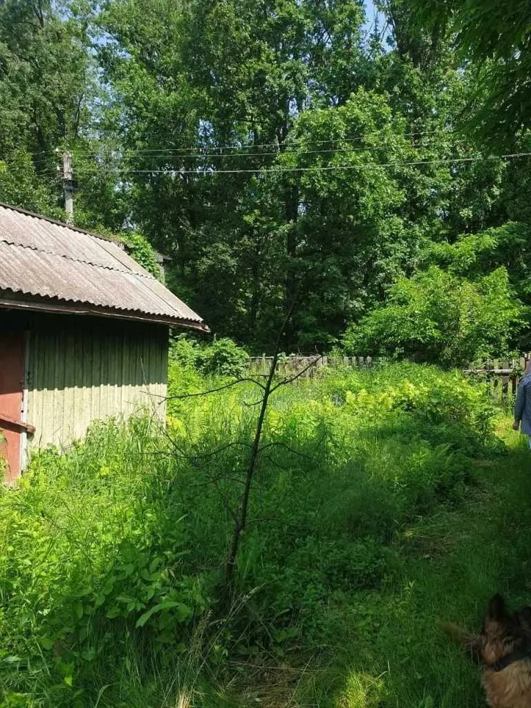 ділянка сільськогосподарського призначення Білоцерківський, Біла Цер.. 3