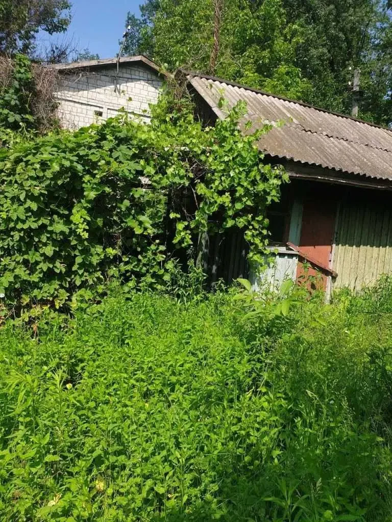 ділянка сільськогосподарського призначення Білоцерківський, Біла Цер.. 4