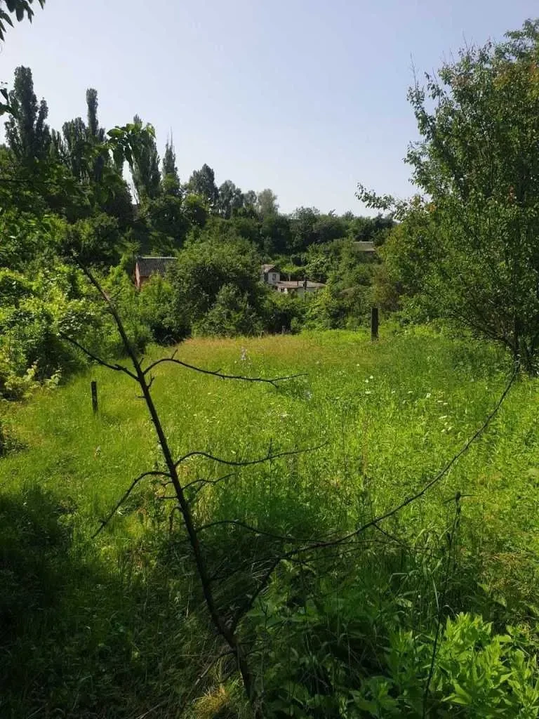 ділянка сільськогосподарського призначення Білоцерківський, Біла Цер.. 6