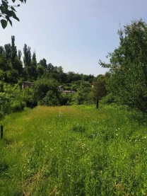 ділянка сільськогосподарського призначення Білоцерківський, Біла Цер..