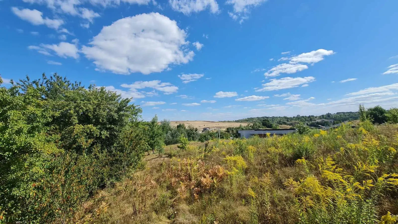 ділянка під житлову забудову Обухівський, Лісники, Щаслива 25