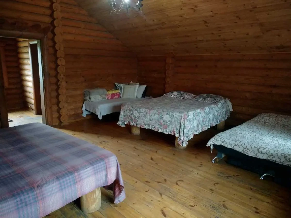 3-к будинок Київ, Дарницький, Центральна 1 11