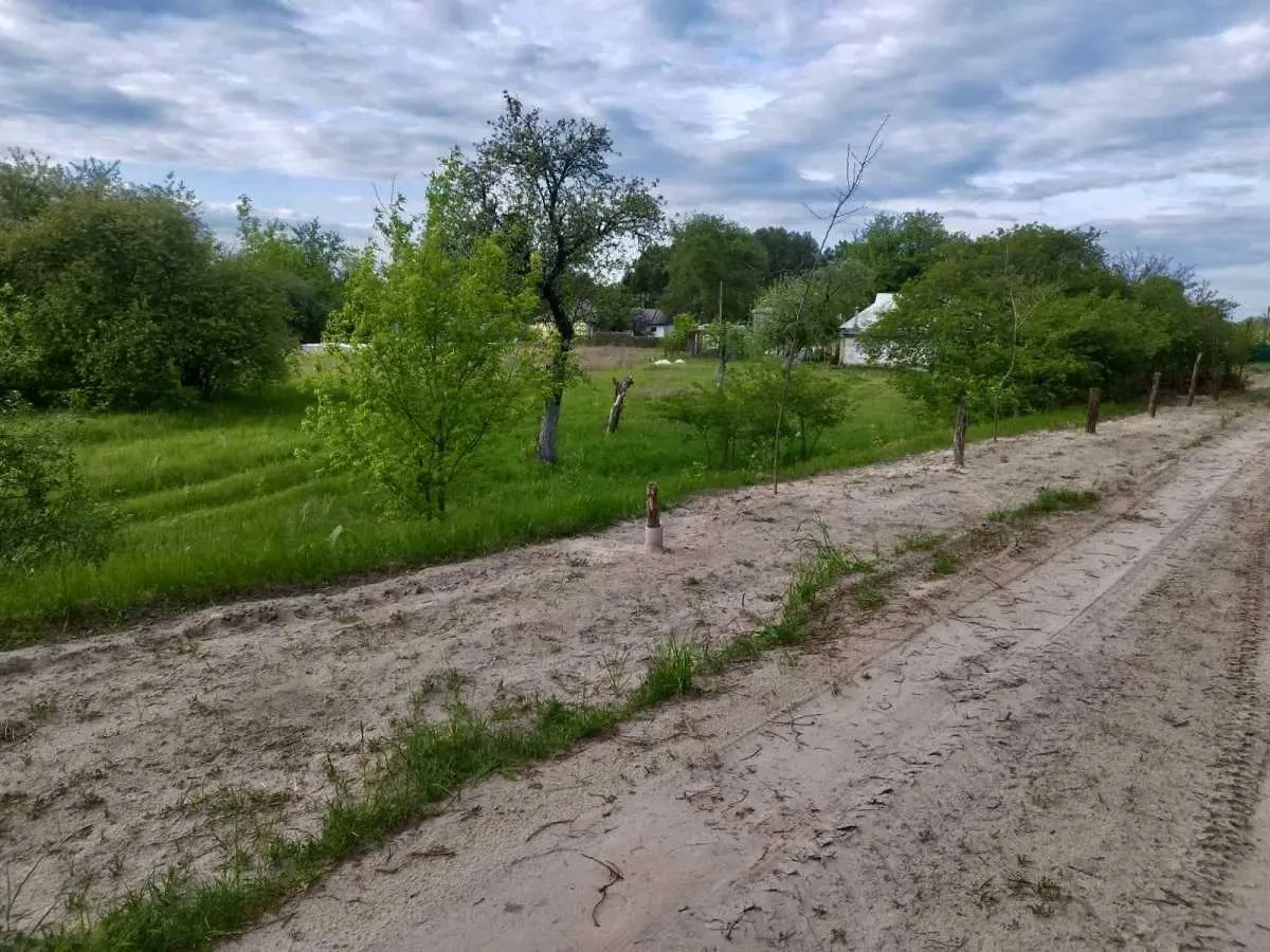 ділянка сільськогосподарського призначення Вишгородський, Жукин, Цен.. 5