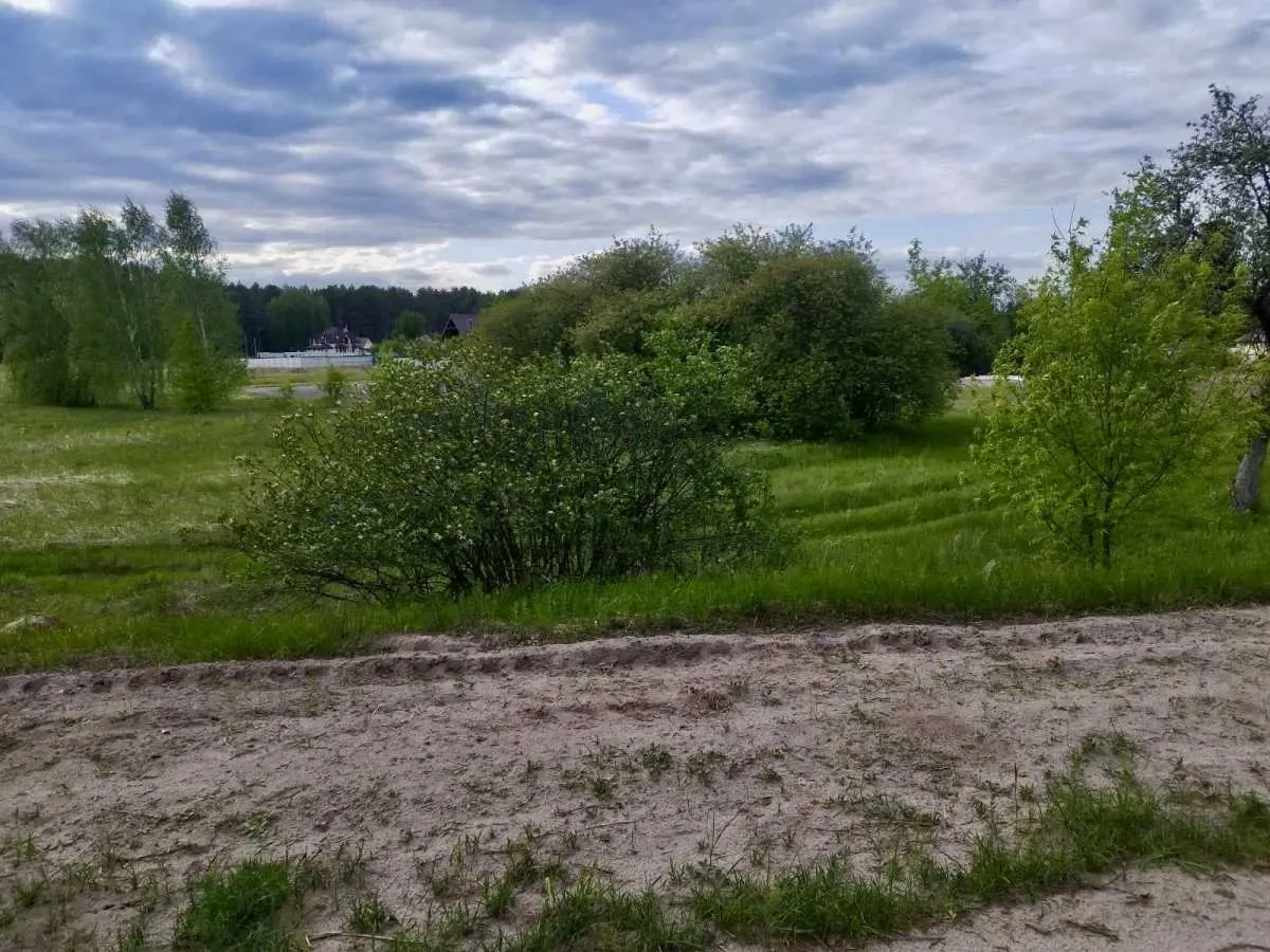 ділянка сільськогосподарського призначення Вишгородський, Жукин, Цен.. 4