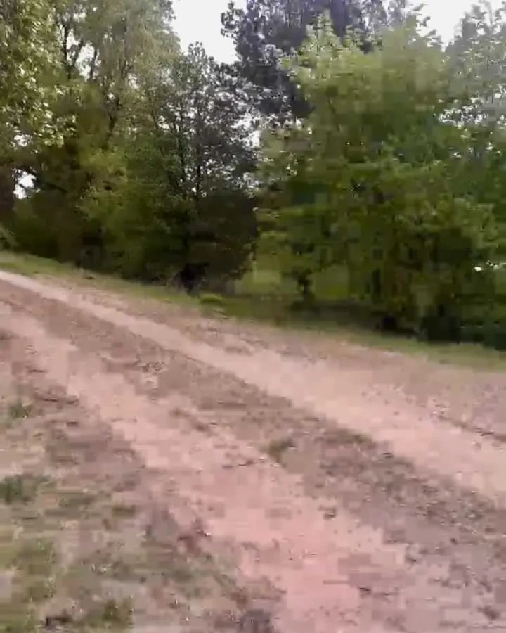 ділянка сільськогосподарського призначення Вишгородський, Жукин, Цен.. 2