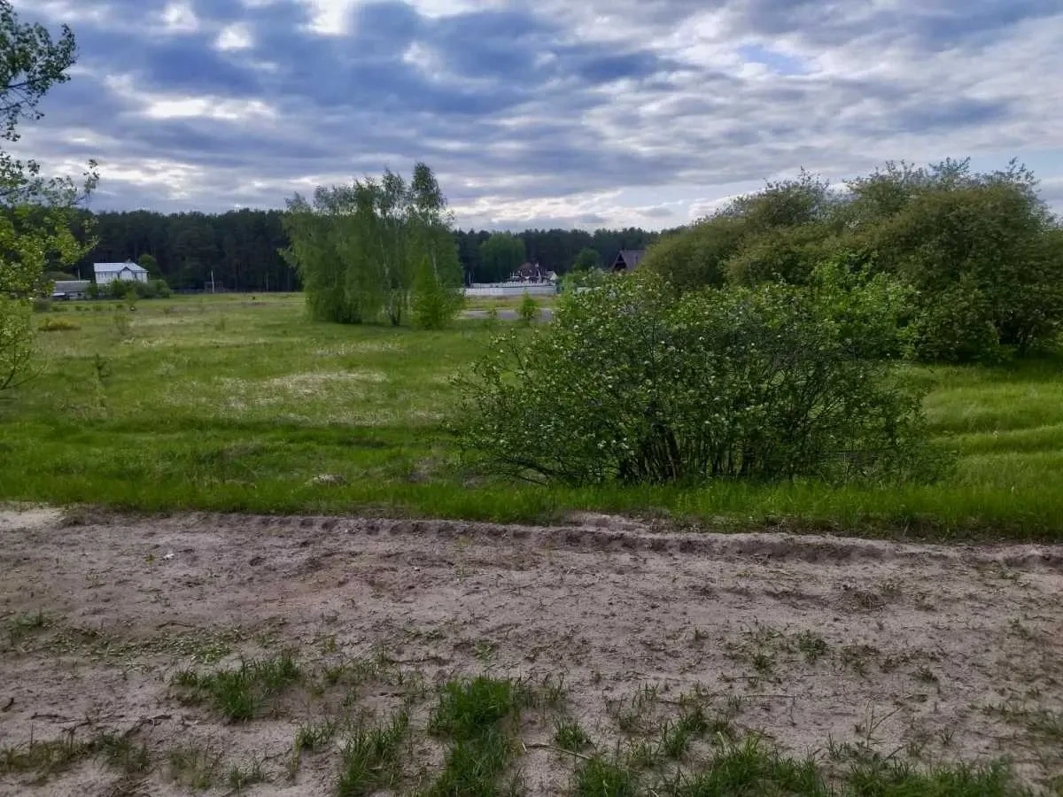 ділянка сільськогосподарського призначення Вишгородський, Жукин, Цен.. 3