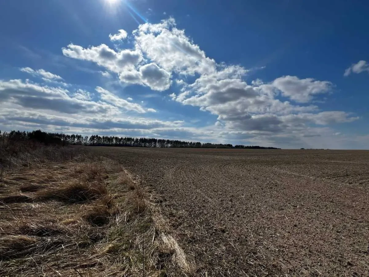 ділянка під житлову забудову Фастівський, Грузьке, нова 2