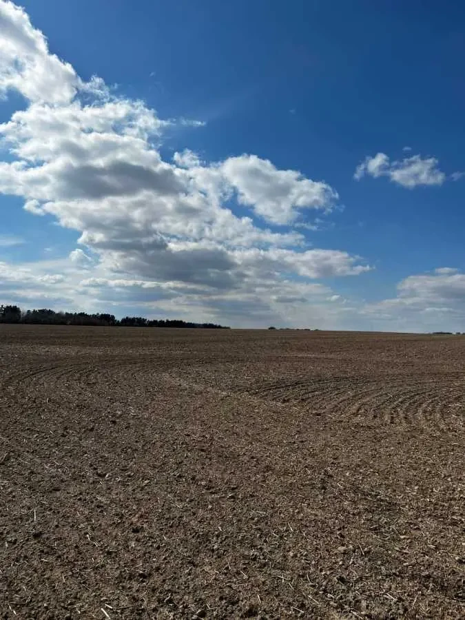 ділянка під житлову забудову Фастівський, Грузьке, нова 3