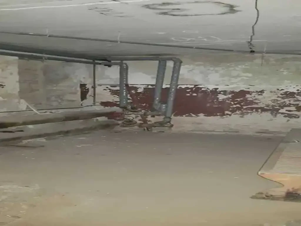 приміщення, будівлі Київ, Шевченківський, Січових Стрільців 14а 9