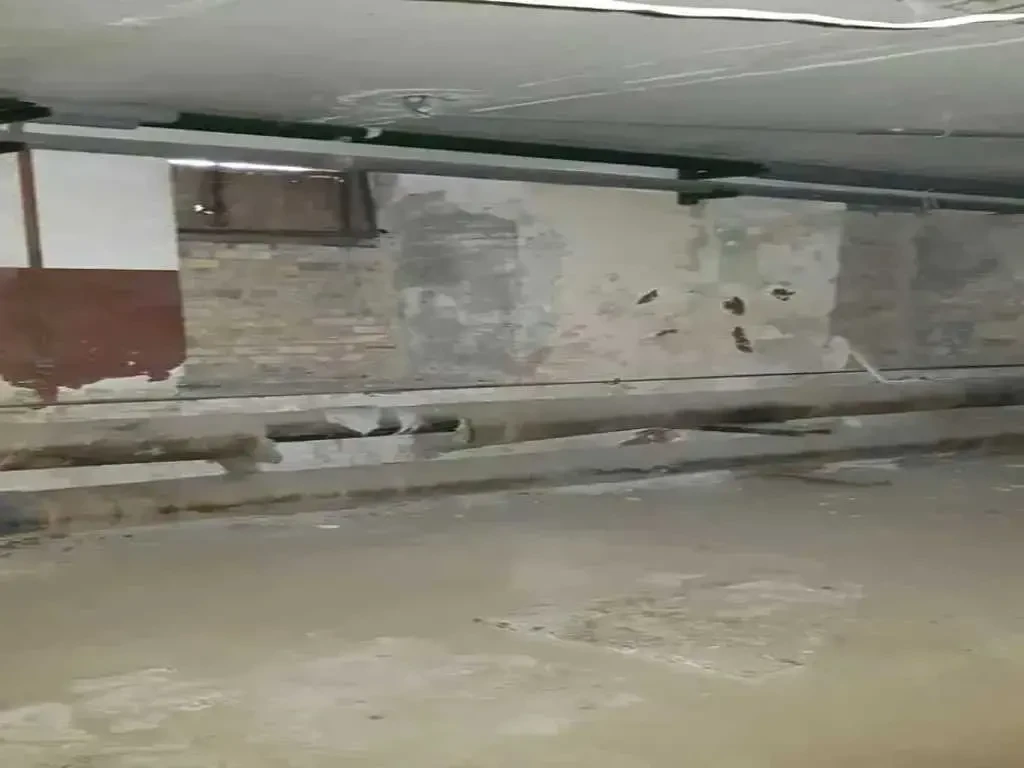 приміщення, будівлі Київ, Шевченківський, Січових Стрільців 14а 6