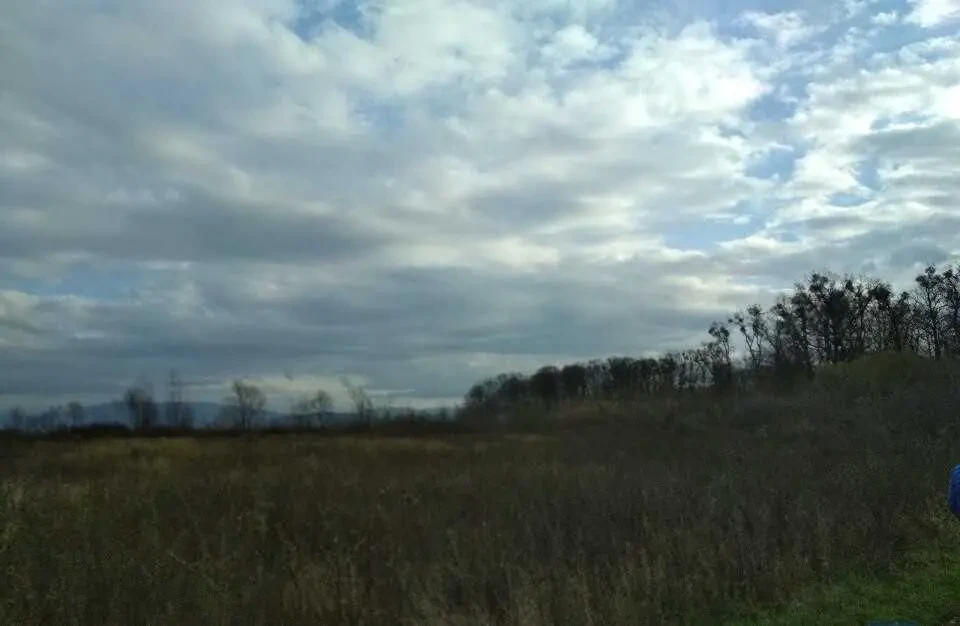 ділянка під житлову забудову Мукачівський, Павшино, урочище Біля Вод.. 3