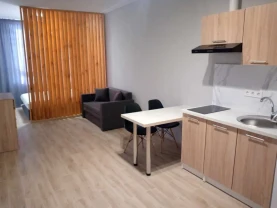 1-к квартира Бучанський, Крюківщина, Балукова 1б