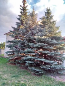 3-к котедж Київ, Дарницький, Центральна