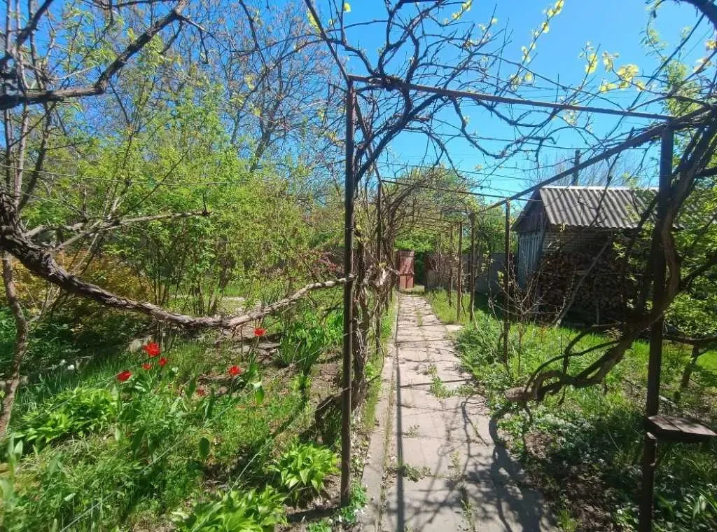 ділянка під житлову забудову Фастівський, Хлепча, Касіора