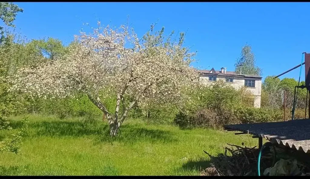 ділянка під житлову забудову Фастівський, Хлепча, Касіора 4