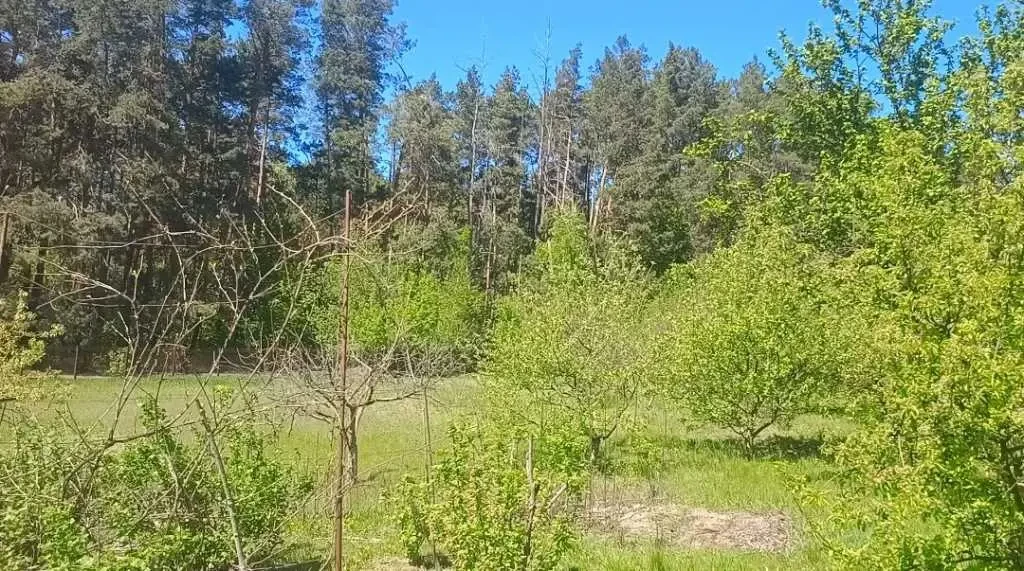 ділянка під житлову забудову Фастівський, Хлепча, Касіора 5